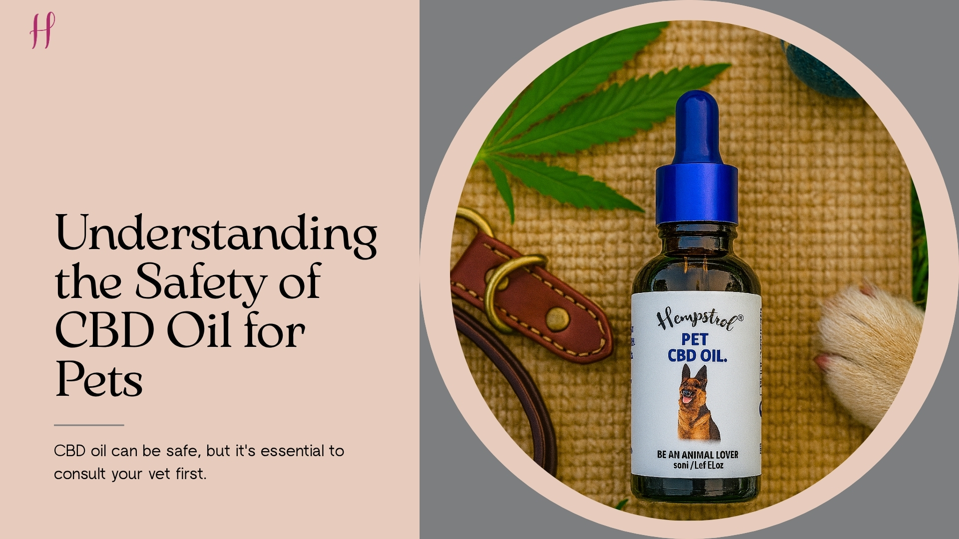 Understanding the safety of CBD oil for pets
